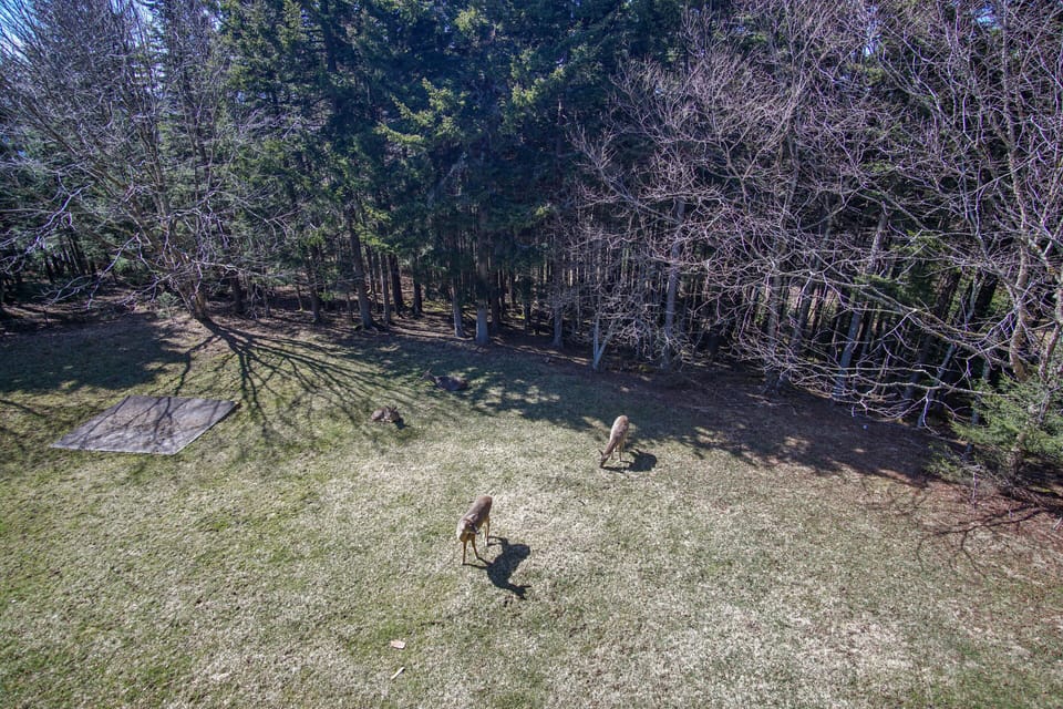 View off the balcony