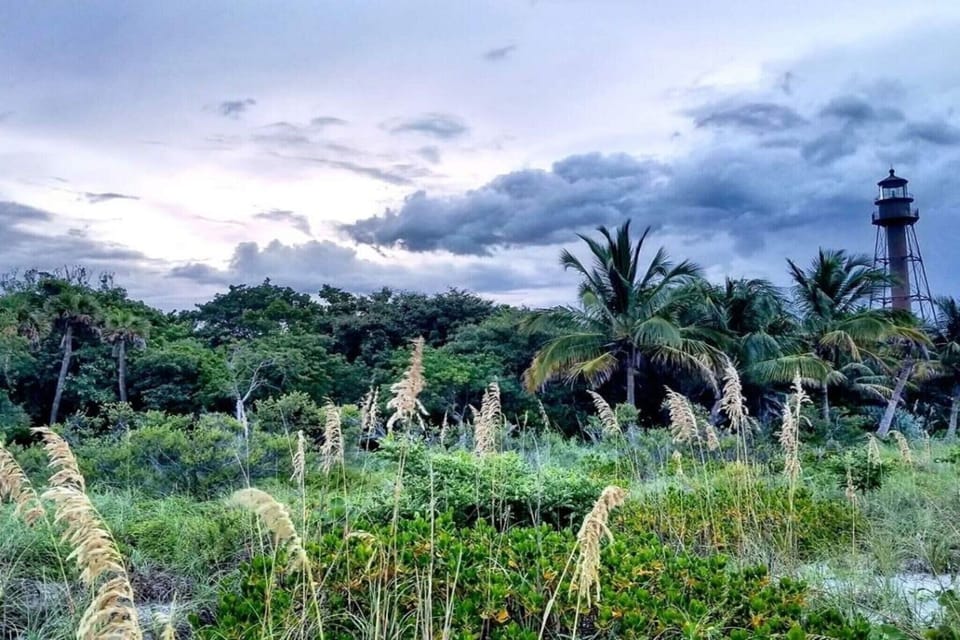 Surroundings [summer] (1-5 km)