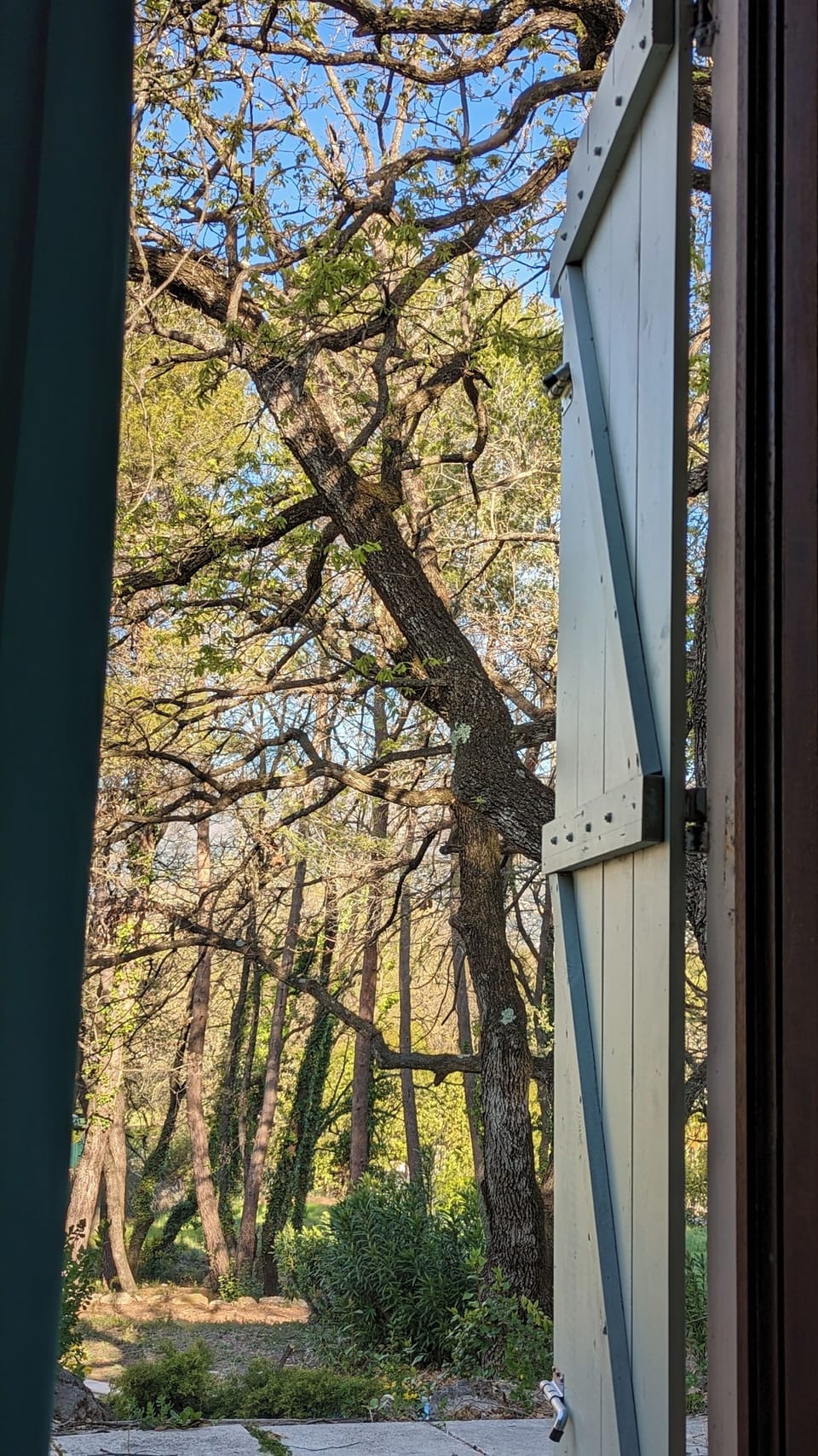 View from property