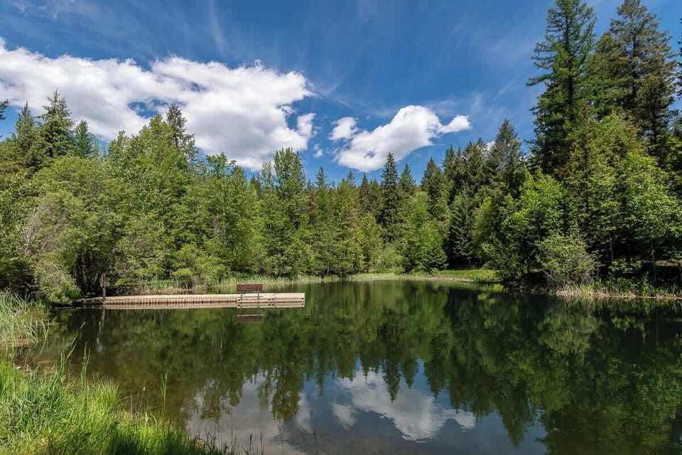 Elmer's Pond