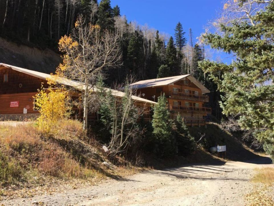 Front of Snow Bear in Fall