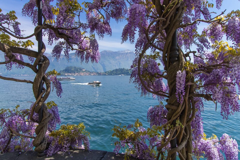 Surroundings