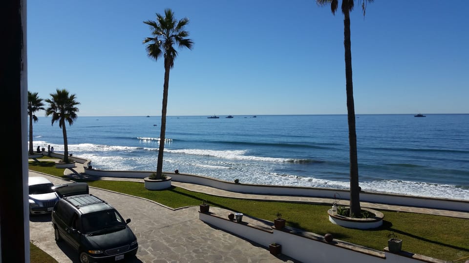 Oceanfront walks with palm trees