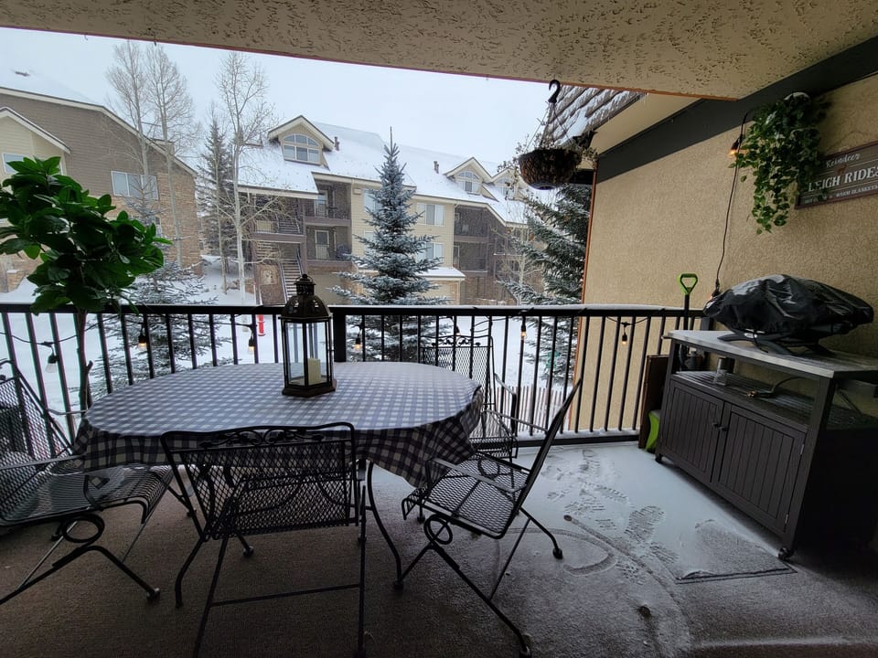 Patio with BBQ