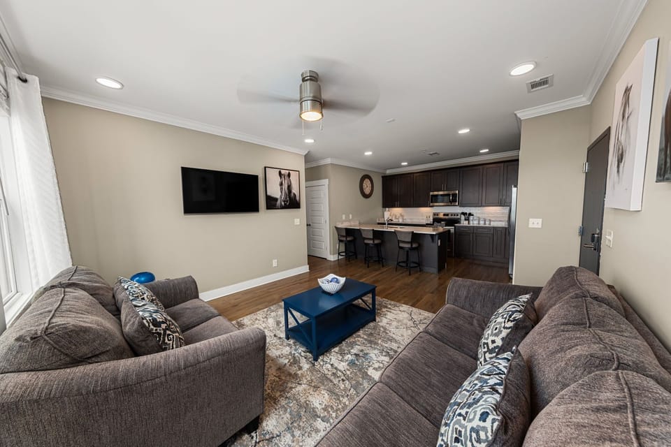 Living room also features a Fire TV