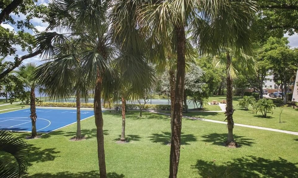 Sport court
