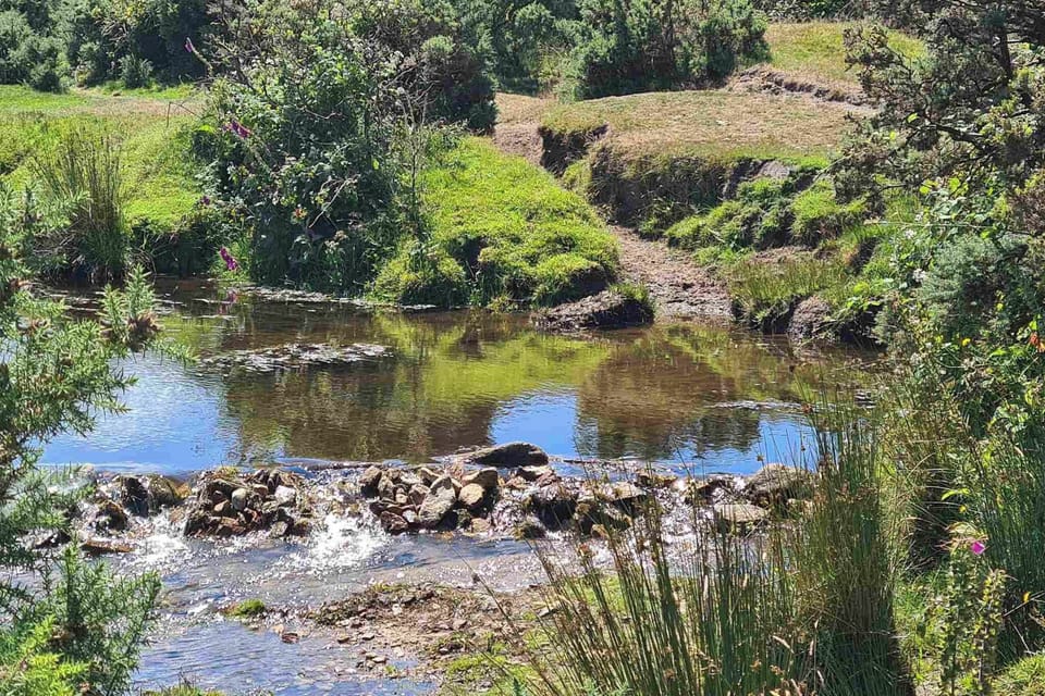 Outdoor area | Stable Barn Apartment - Hallagenna Farm Properties, Bodmin Moor
