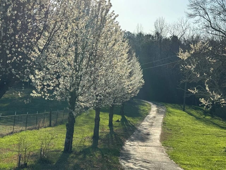 47ea8d4f-ac36-4c8d-b4e3-e9ebeaad4e62