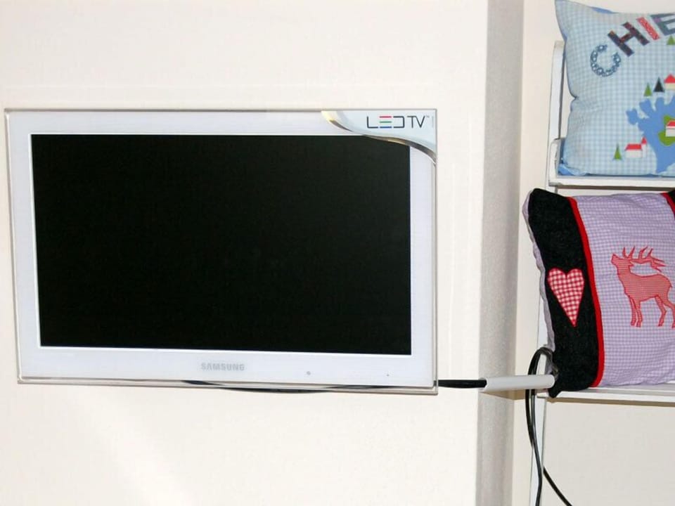 Television