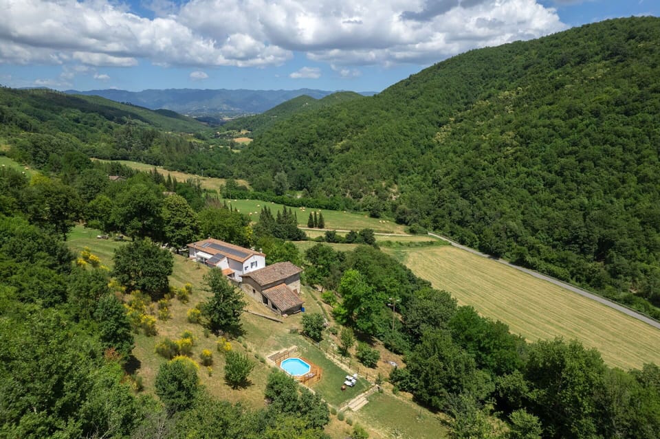 Garden, Outdoor, Pool, Scenic View