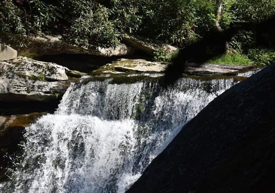 Elk Falls is one of the many waterfalls you can see during your stay.