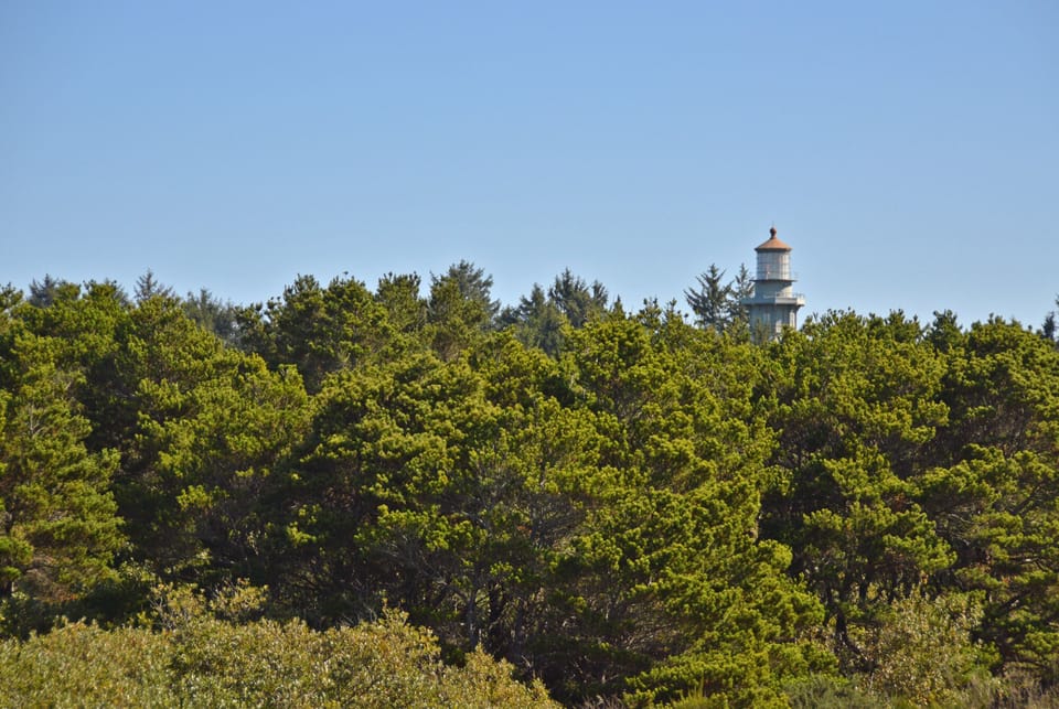 View from Balcony