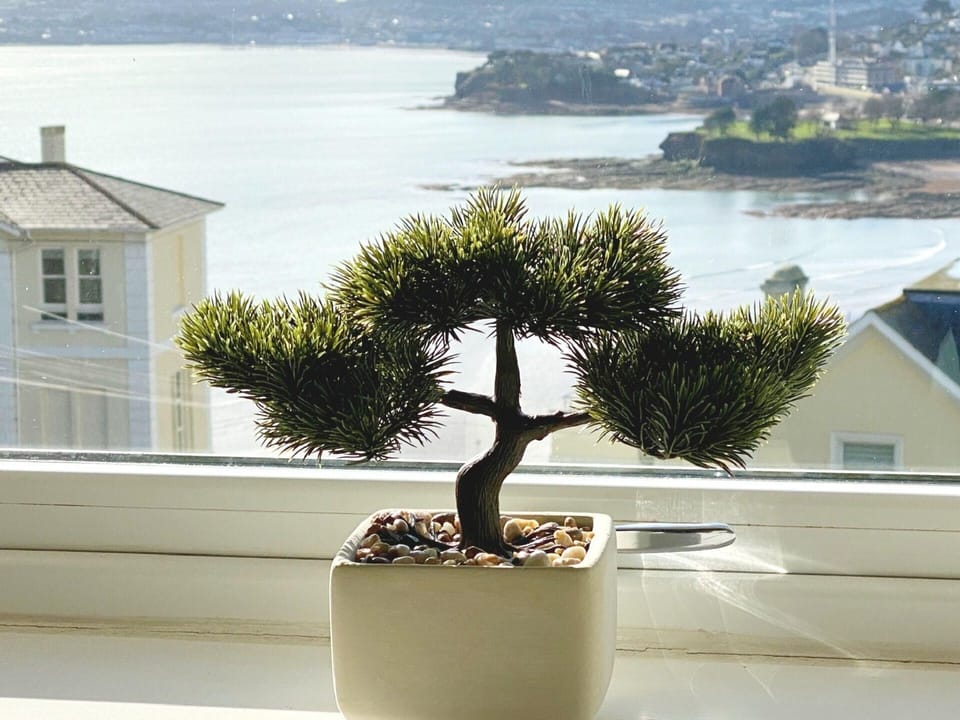 View from the living room