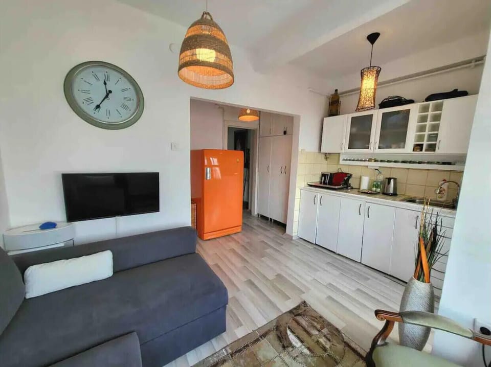 Living room with full kitchen