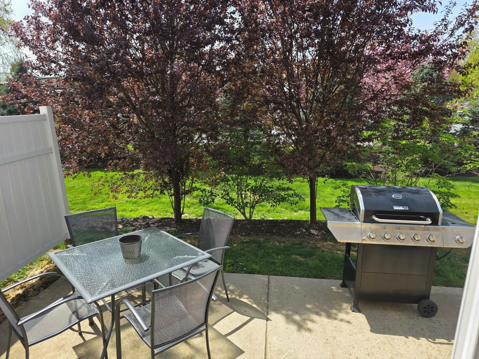 BACK PATIO