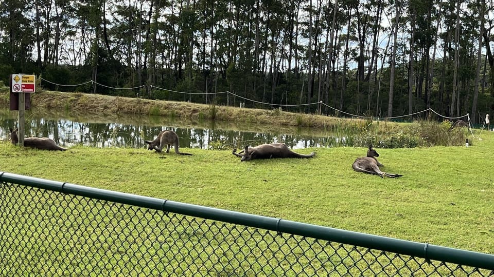 Water and wildlife views 