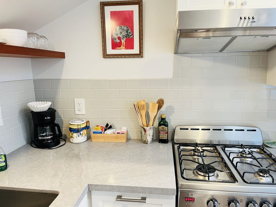 Gas oven and stovetop
