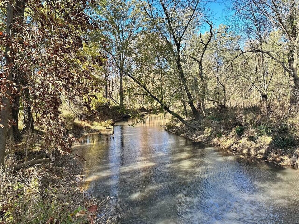 Fox Creek