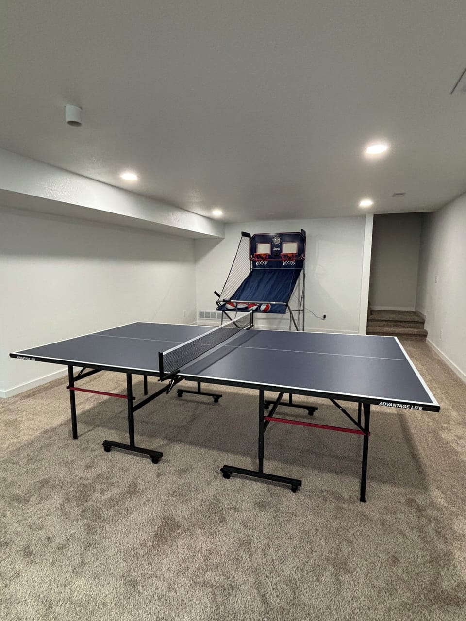 Basement living/rec room