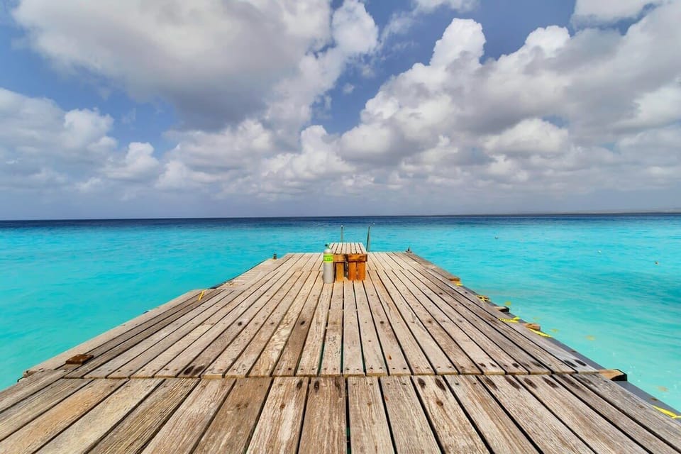 Beach/ocean view