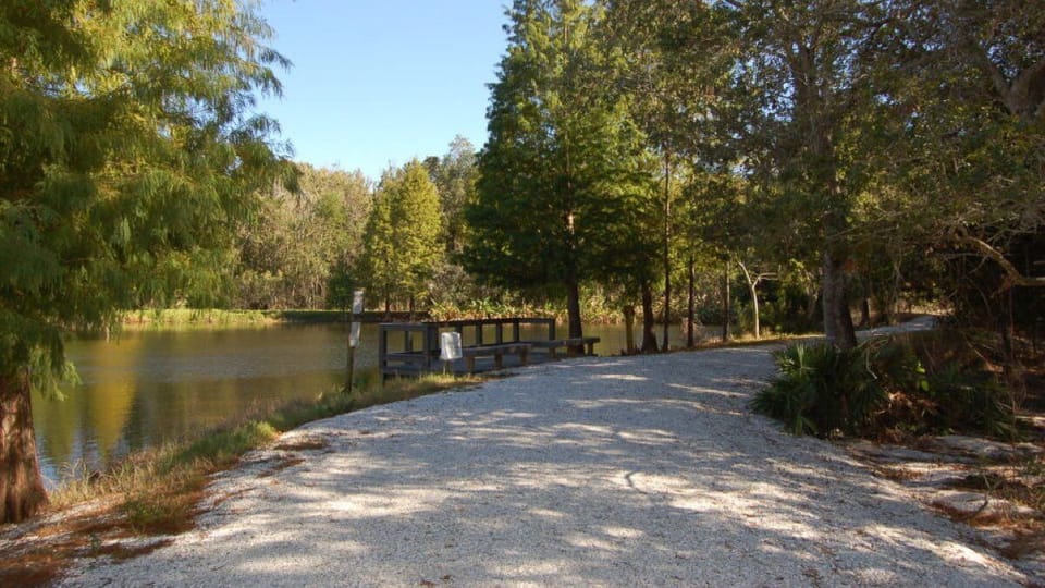 Wander quiet trails beside the lake for a peaceful reset.