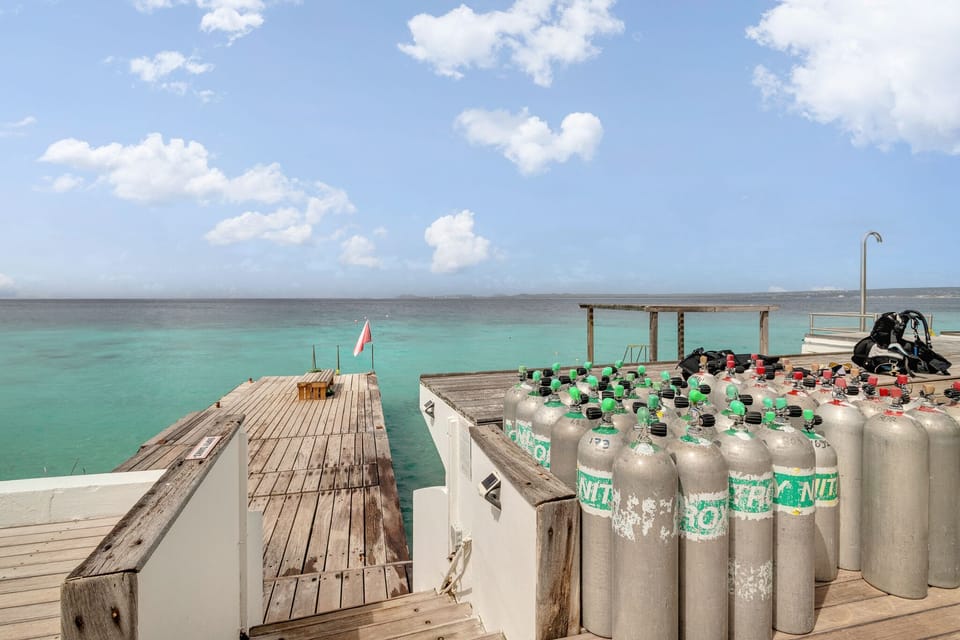 dive shop on the premises 