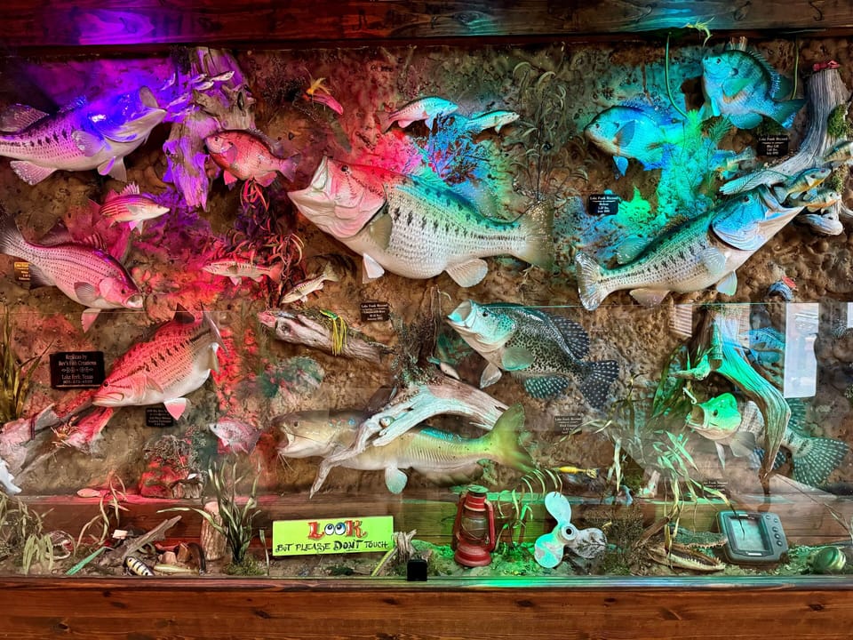 Lake Fork Record Winning Catch
