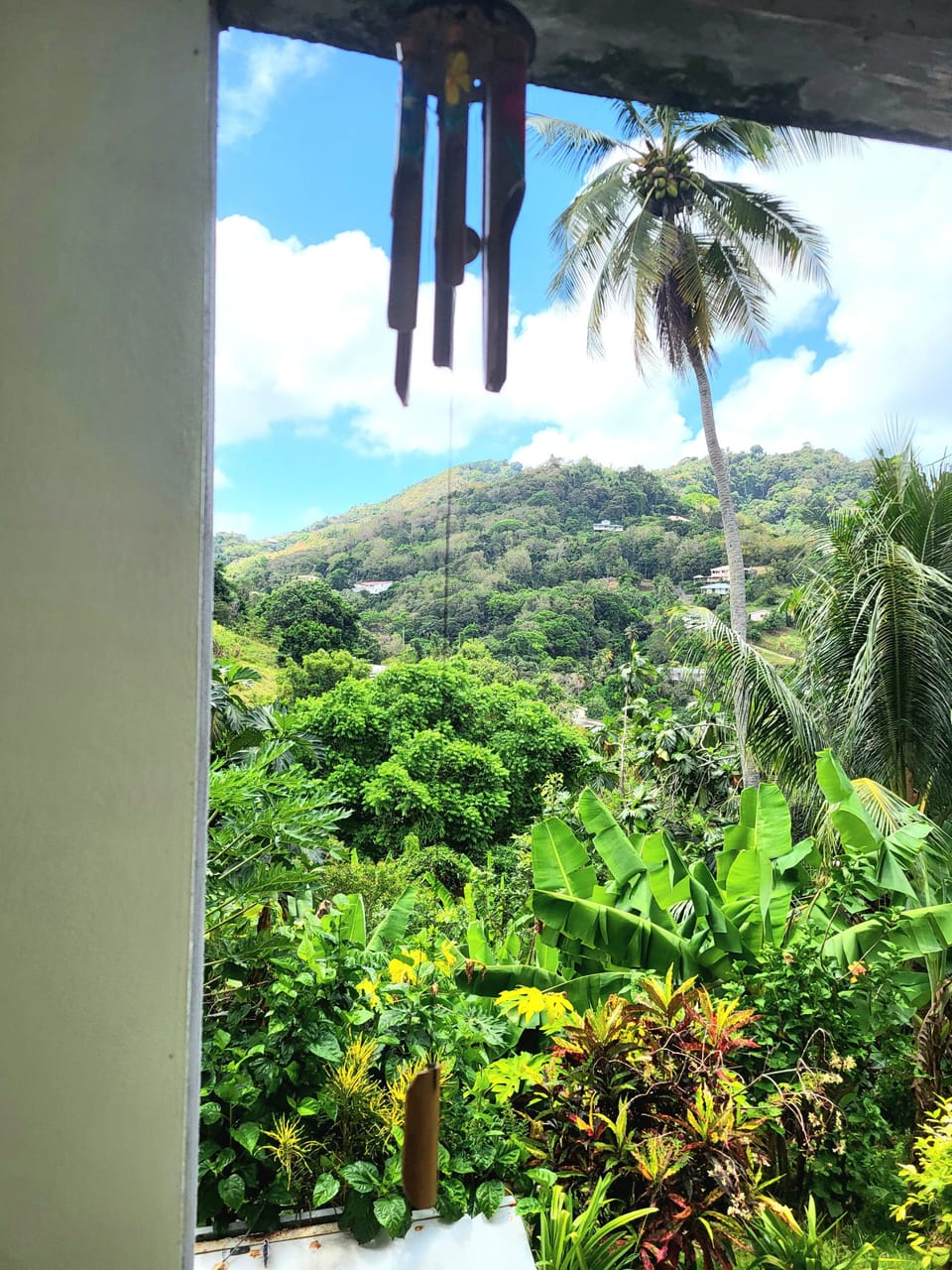 View from property