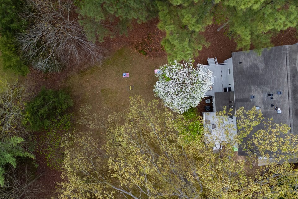 Large lot and lots of privacy! 