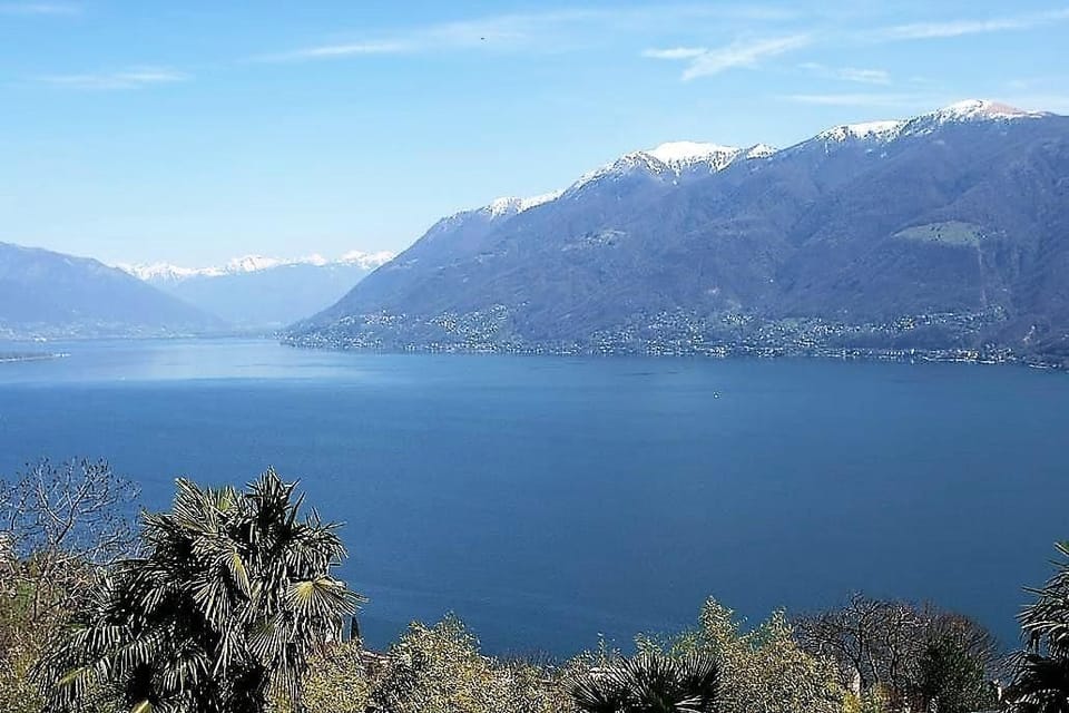 Panoramic view