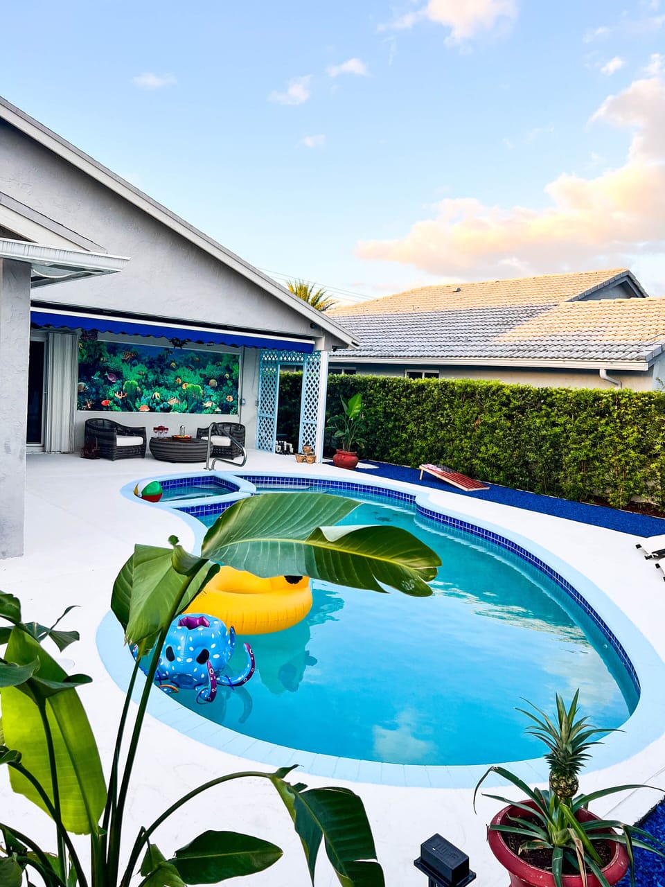 Stunning view of my swimming pool from the back of the house 
