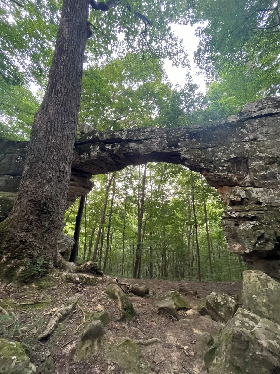 Sewanee natural bridge