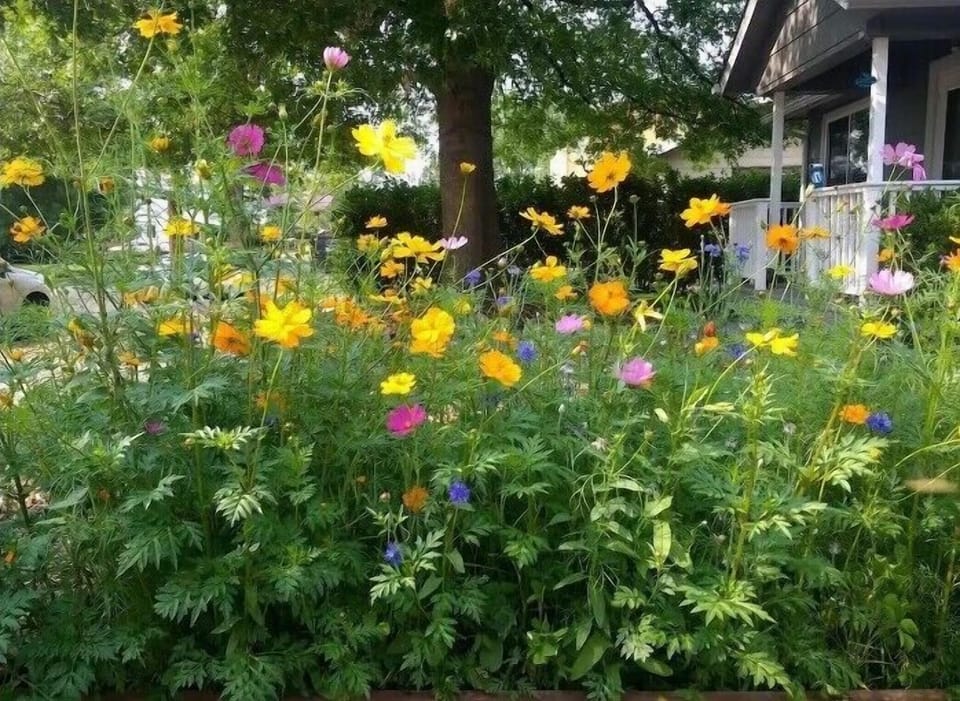 Front Flower Garden