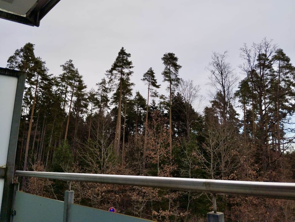 Blick vom Balkon