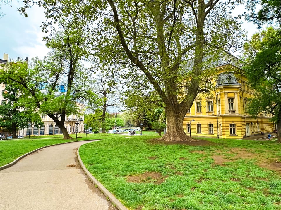 Discover the serene beauty of Sofia's city center gardens, a perfect backdrop for relaxation and leisurely strolls. Want to know more about local green spaces? Message us!