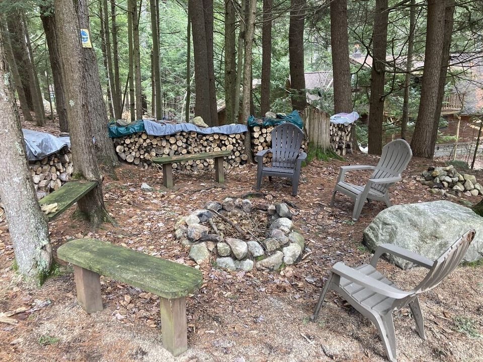 Fire Pit with plenty of firewood