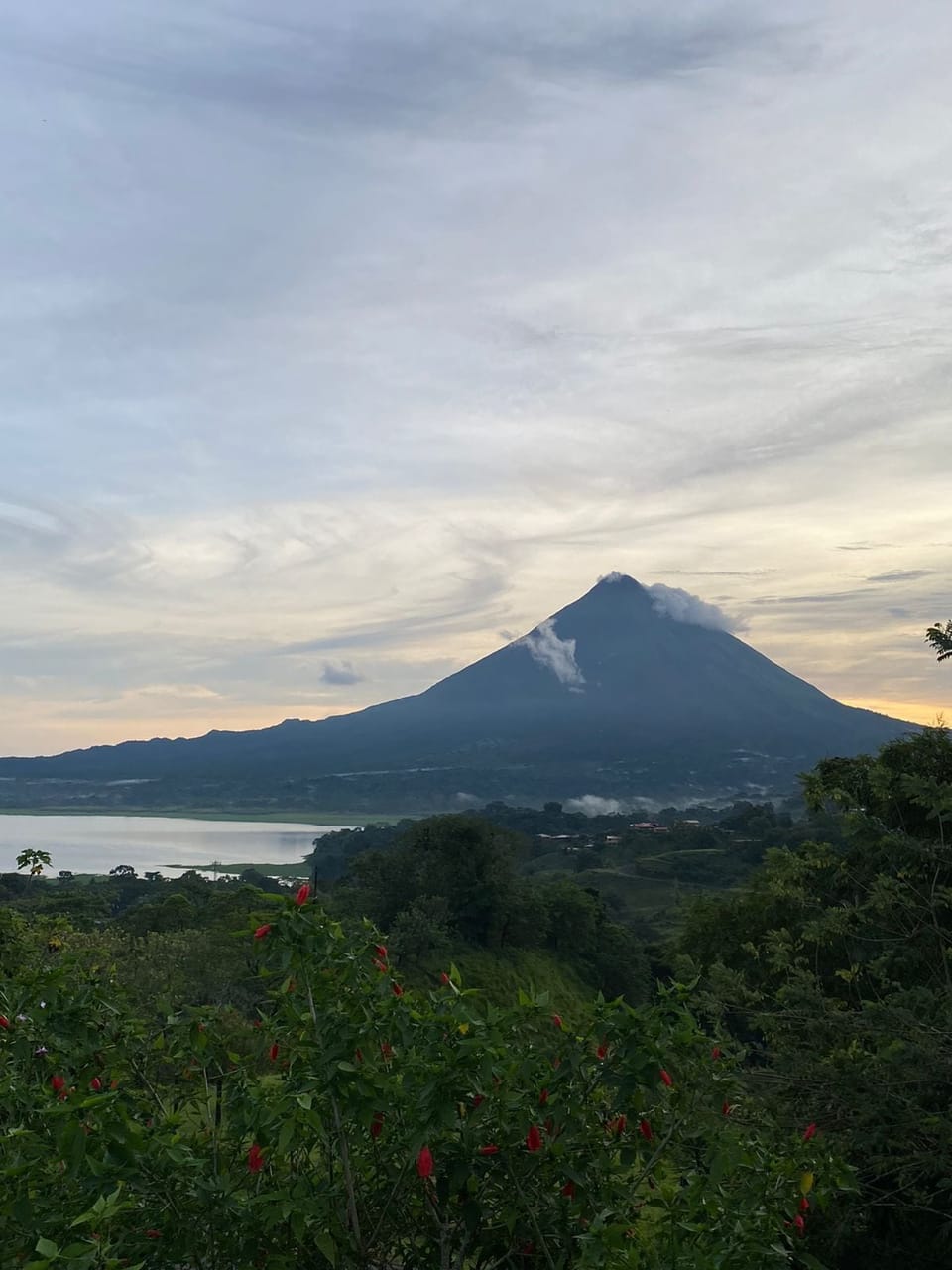 View from property