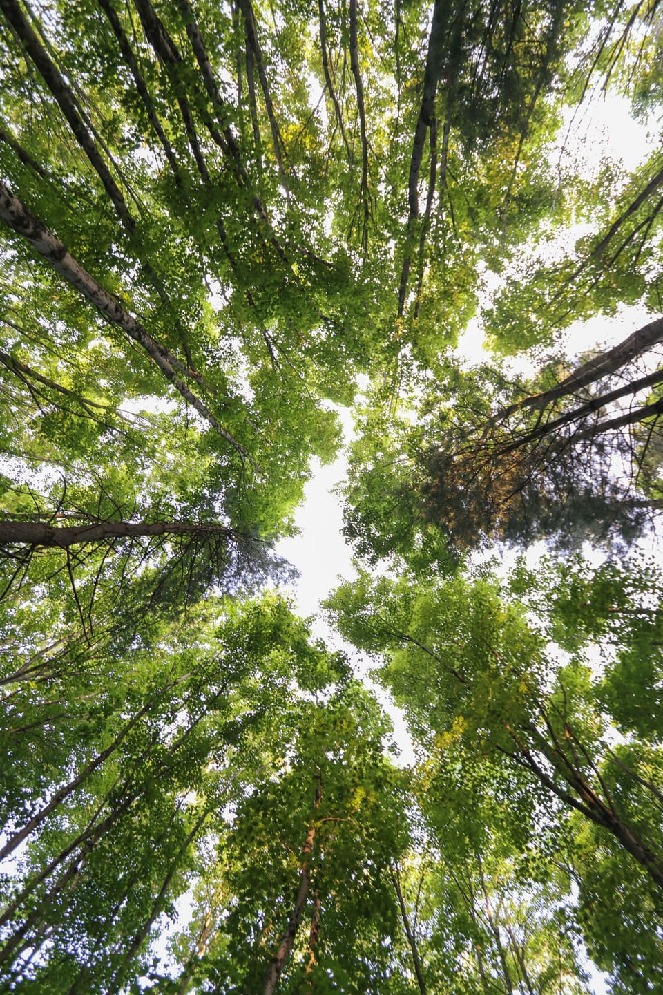 a389d380-970a-424f-90aa-5e97c675f0af