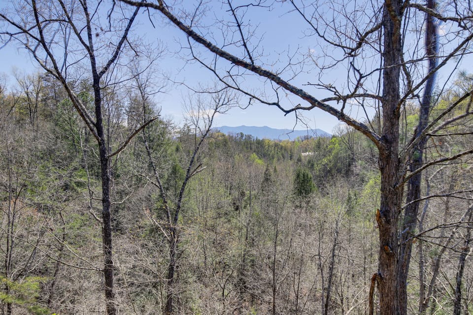 Mountain Views