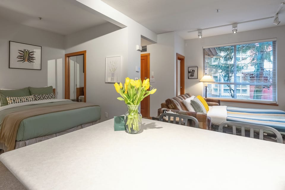 The studio features a comfy sofa bed for extra guests