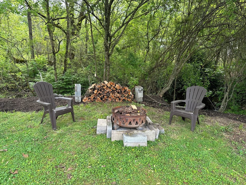 Firepit By Creek