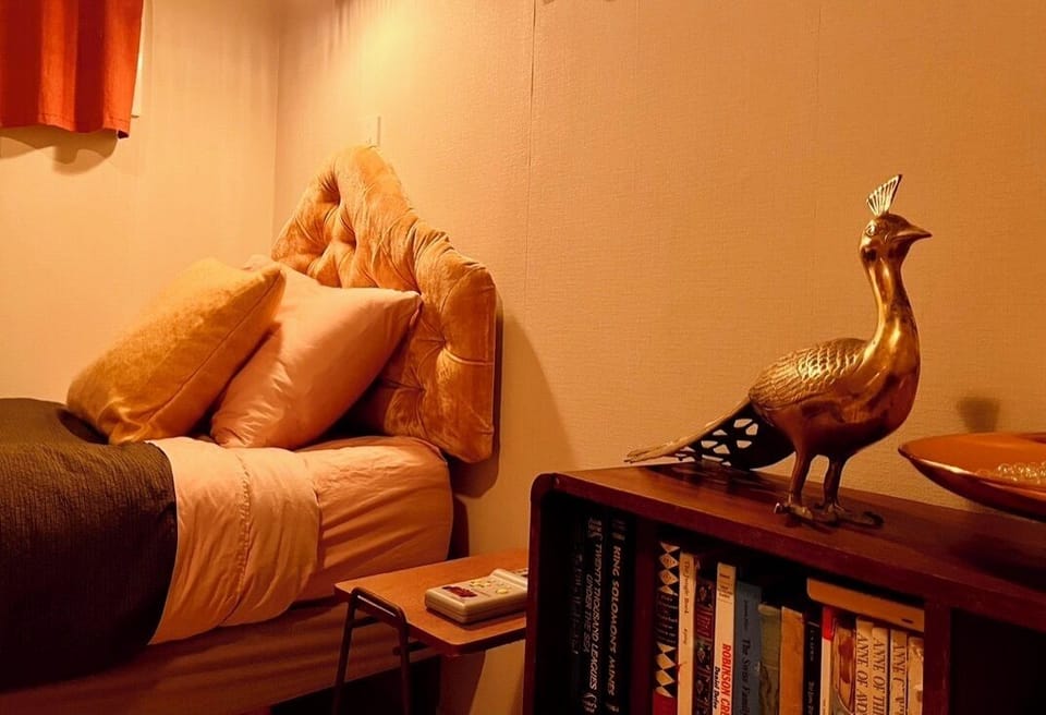 Birds, books and brick games.