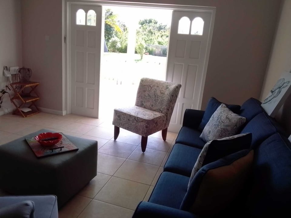 Lower Living Room (3)