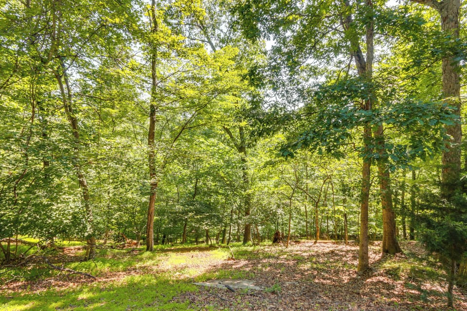 Property Surroundings