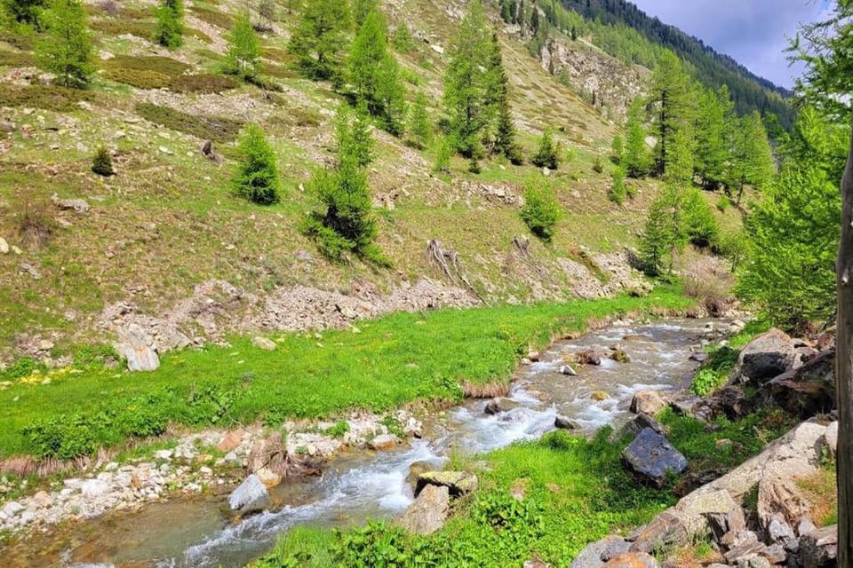 Region [summer] (>5 km)