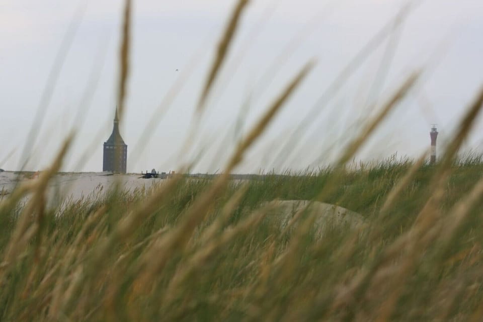 Ambiance / Close-up