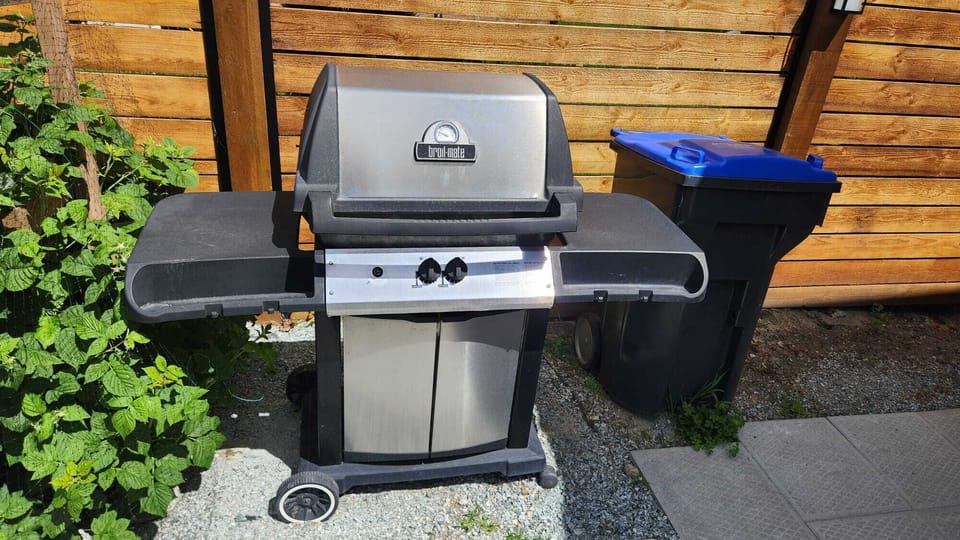 BBQ ready for grilling.