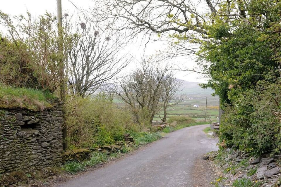 45d8c55e-01bb-4656-ab84-8a806bdf29b5