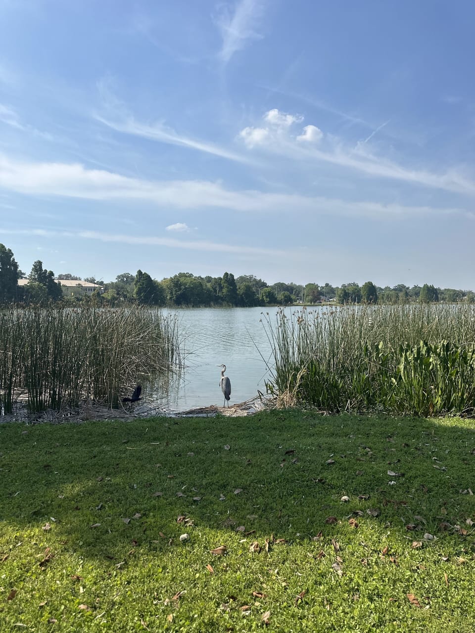 Just a stone's throw from your doorstep, enjoy breathtaking views of the lake.