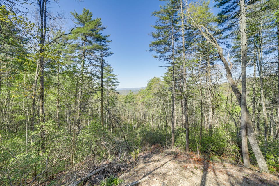 Surrounding Mountain Views